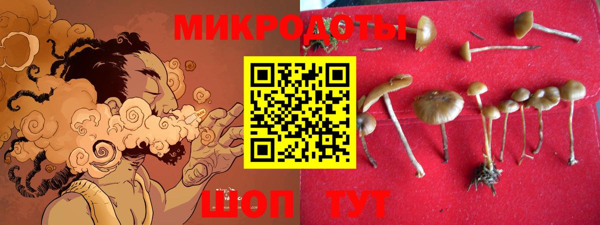 Псилоцибиновые грибы прущие грибы Миасс